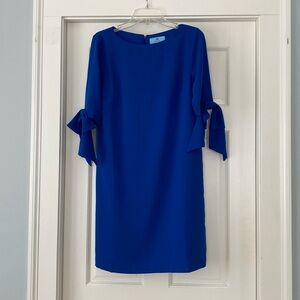 Beautiful Vibrant Blue Dress